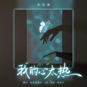 我的心太热 (DJ彭锐版)