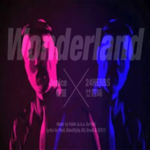 卫兰&廿四味 - Wonderland（牛细 Bootleg ）