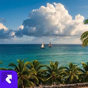 马路狂想曲 (现场)