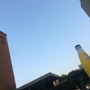 生命中最美丽的一天