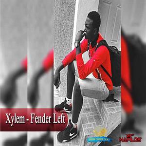 Fender Left