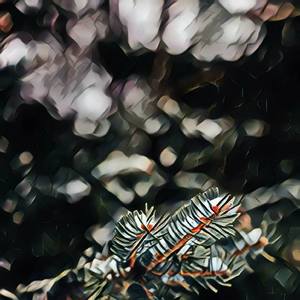 Ami Tumake Valobashi