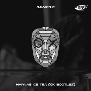 Harnaś ice tea