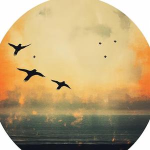 Parang ibong lumilipad