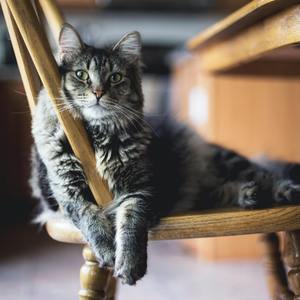 阿冗-你的答案（DJ咚鼓版）（念辰 remix）