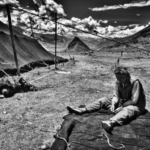 会喝酒的人都会唱的歌