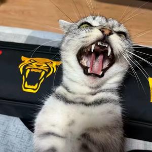 白先森-天真的的橡皮（白先森 remix）