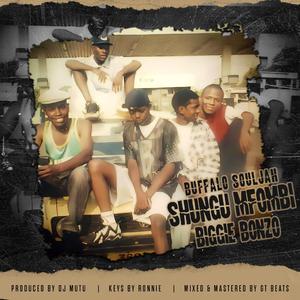 Shungu Mfombi (Biggie Bonzo)