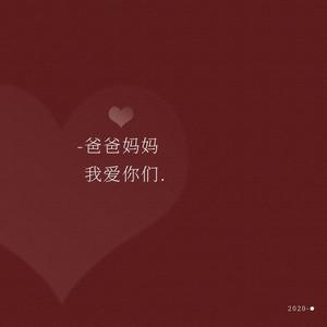 涛声依旧(熟年贺岁版)