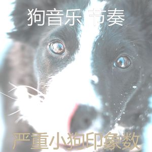 一尘不染幼犬印象数