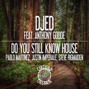 Do You Still Know House (Justin Imperiale Cabana Inst Remix)