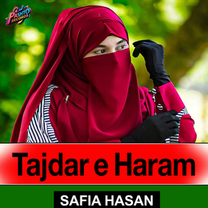 Tajdar e Haram
