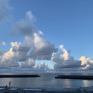 这次没有