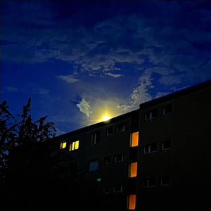 Mondlicht