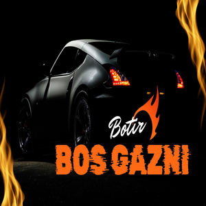 Bos Gazni
