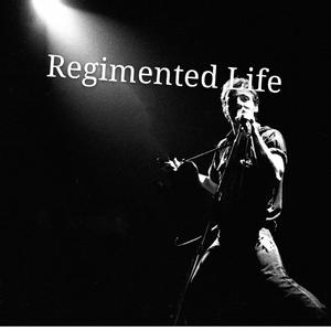 Regimented Life(Demo)