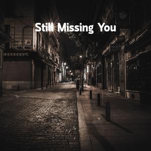 Still Missing You
