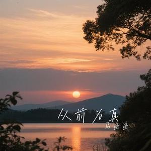 从前为真 (Cover 赵乃吉)