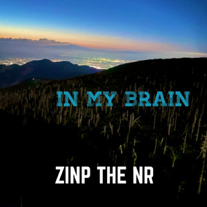 IN MY BRAIN