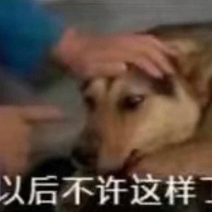 TG不得House