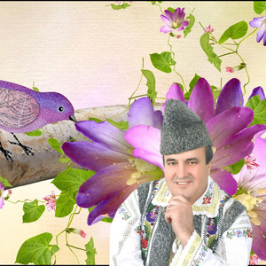 Is fecior de vasluian