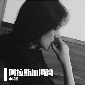 阿拉斯加海湾