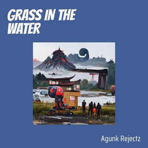 Grass in the Water