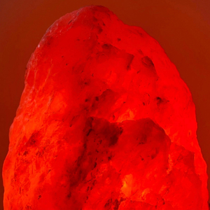 November (feat. ana_pshokina & Lexdiba)