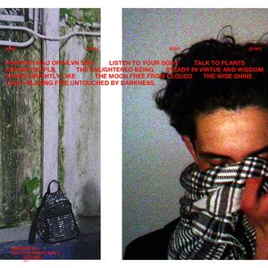 Popstar (feat. 5005 & offvlvn)