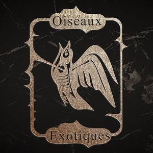 荆棘鸟（Prod MoonVibe Beatz ）