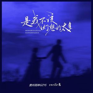 是我不该幻想的太多（合唱版）