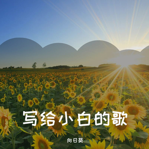 它柴一