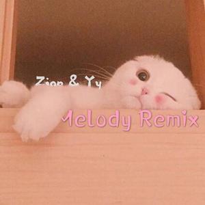 吴海啸-Melody Remix（Zion / yy remix）