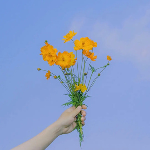 有种相遇叫命中注定