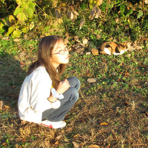 The Shade And A Sun Shower
