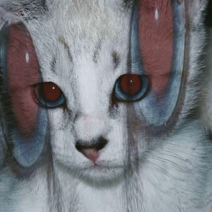 【freebeat】"至死不渝“regalia type beat