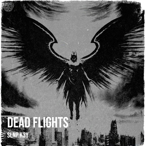 Dead Flights