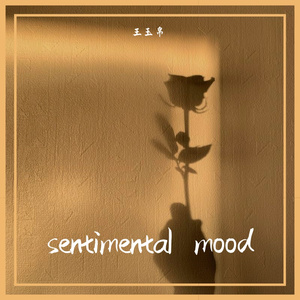 sentimental mood （instrumental）