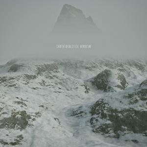 21世纪朋克青年行为准则