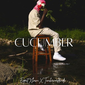 Cucumber