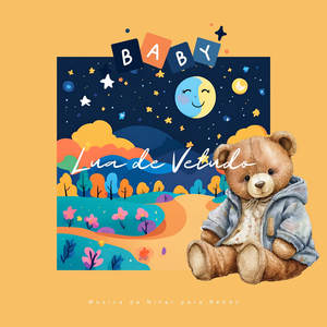 Nascer do Sol, Floresta À Noite