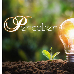 Perceber