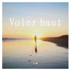 Voler haut