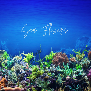 Rainy Parking Lot - Loopable