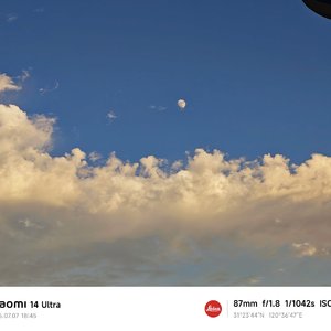 那年走过的桥，成了我到不了的远方