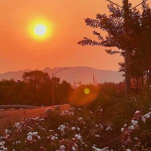 backseat! (feat. JCB)