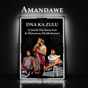 Amandawe (feat. Nolali The Rural Gel & Nkosazana Ekuthokozeni)