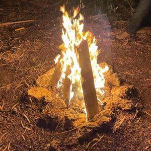 מדברים עם טום פרק 2