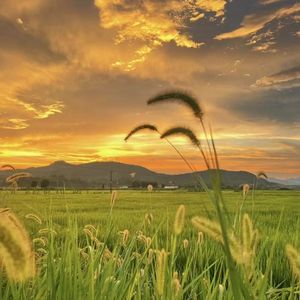 成长的形状 伴奏