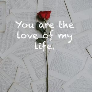 挚爱True Love